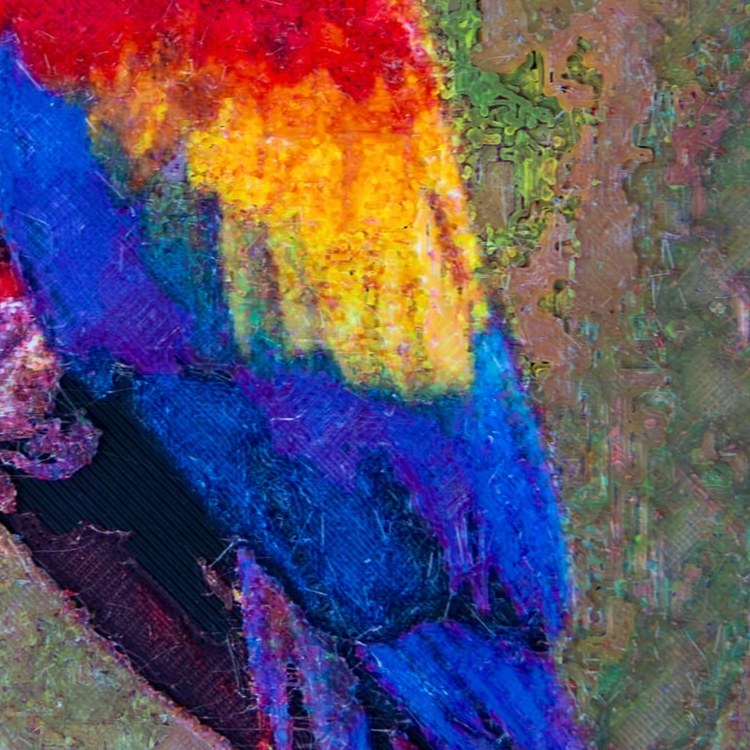 An unretouched close-up of the wing on my scarlet macaw print, showing individual printed spots